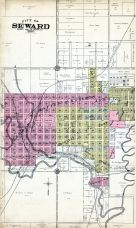 Seward City, Seward County 1908